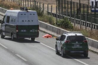Tragedia en La Ligua: Vendedora atropellada por conductor con licencia vencida
