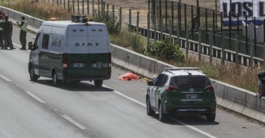 Tragedia en La Ligua: Vendedora atropellada por conductor con licencia vencida