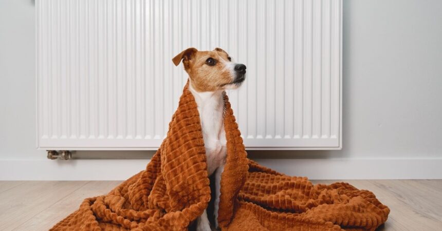 Subsidio de Calefacción 2025: ¿Cuántas veces se paga y quiénes lo reciben?