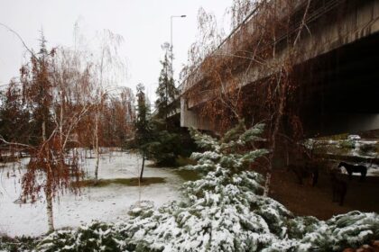 Nieve podría sorprender a comunas del Gran Santiago este martes en la madrugada