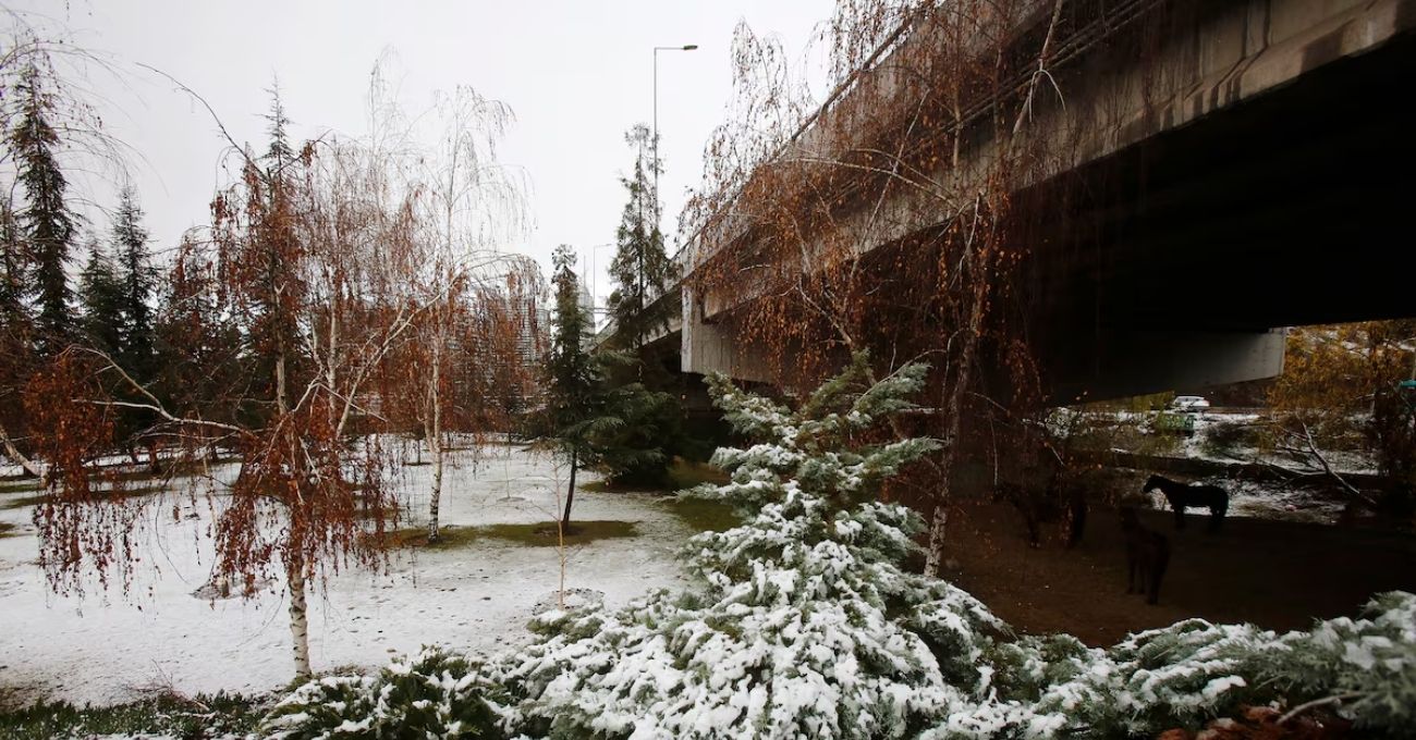 Nieve podría sorprender a comunas del Gran Santiago este martes en la madrugada