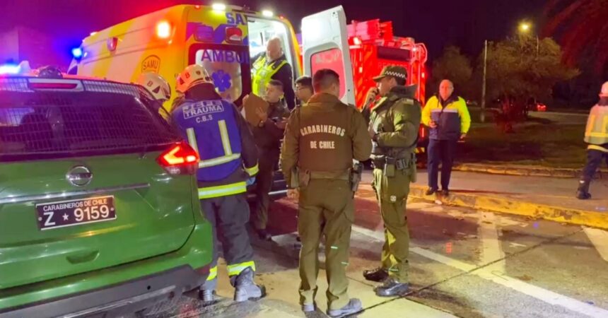 Ataque con arma blanca en Parque de los Reyes remece a Santiago: víctima fue herida mientras paseaba a sus mascotas