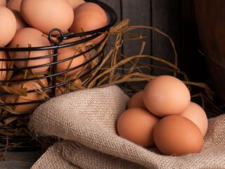¿Cuánto duran realmente los huevos en el refrigerador?
