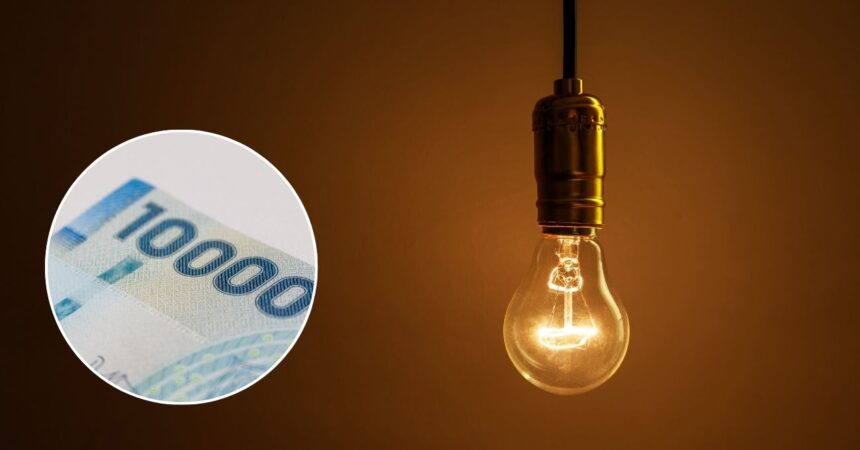 ¿Quiénes recibirán primero el nuevo Subsidio Eléctrico en Chile?