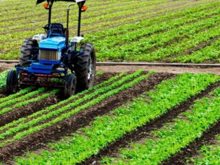 Revolución agrícola: cómo la inteligencia artificial transforma el campo global