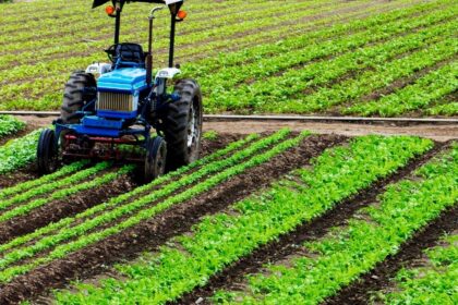 Revolución agrícola: cómo la inteligencia artificial transforma el campo global