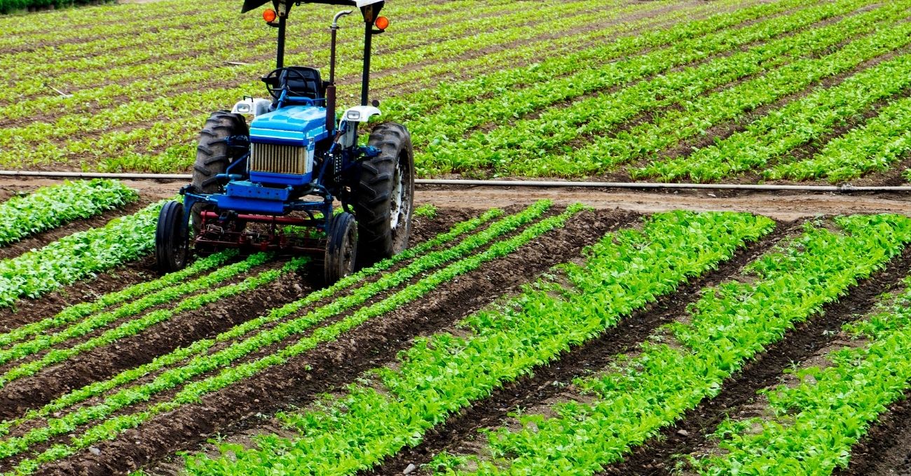 Revolución agrícola: cómo la inteligencia artificial transforma el campo global
