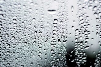 ¿Vidrios del auto empañados? 5 técnicas caseras con shampoo, detergente y más para tener visión clara todo el invierno