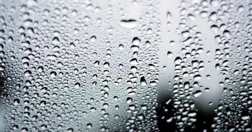 ¿Vidrios del auto empañados? 5 técnicas caseras con shampoo, detergente y más para tener visión clara todo el invierno