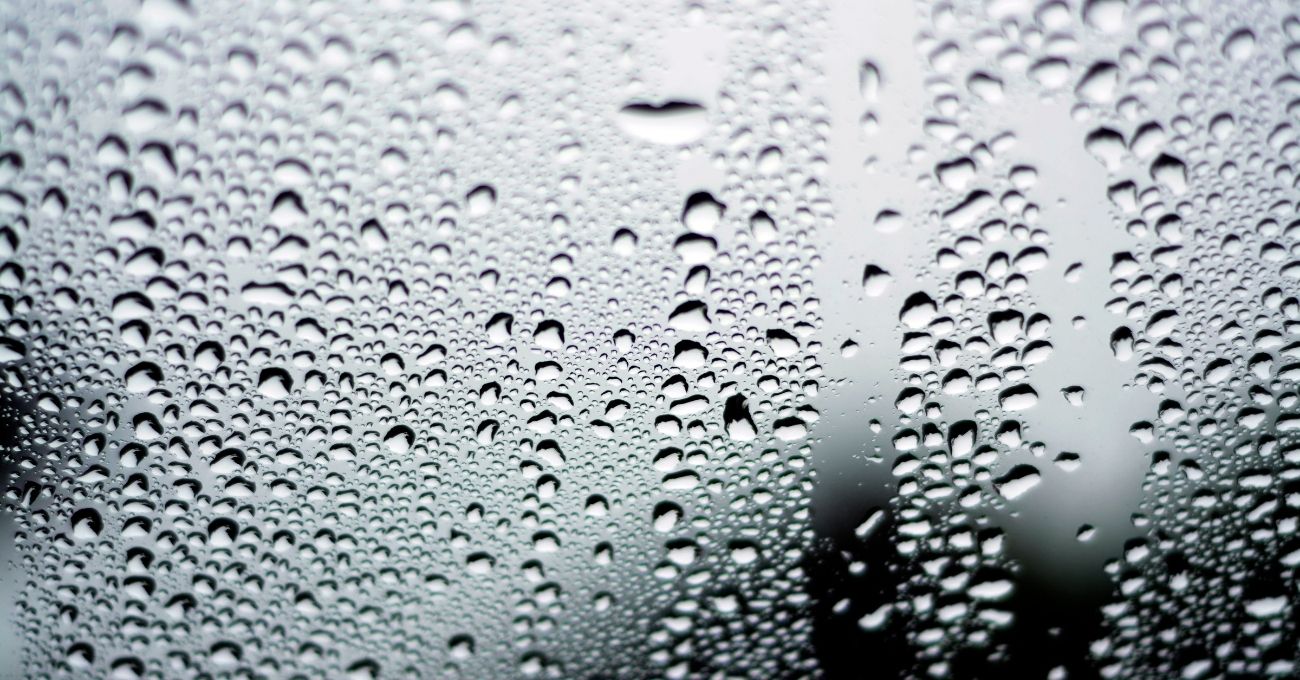 ¿Vidrios del auto empañados? 5 técnicas caseras con shampoo, detergente y más para tener visión clara todo el invierno