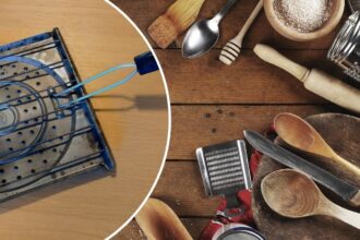 Utensilios comunes que podrían poner en riesgo tu salud, según experta en inocuidad alimentaria