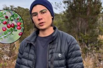 Las increíbles tácticas de supervivencia de Sebastián Gotschlich en el Parque Tepuhueico