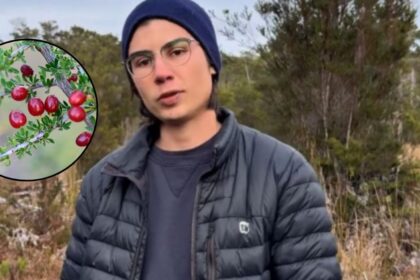 Las increíbles tácticas de supervivencia de Sebastián Gotschlich en el Parque Tepuhueico