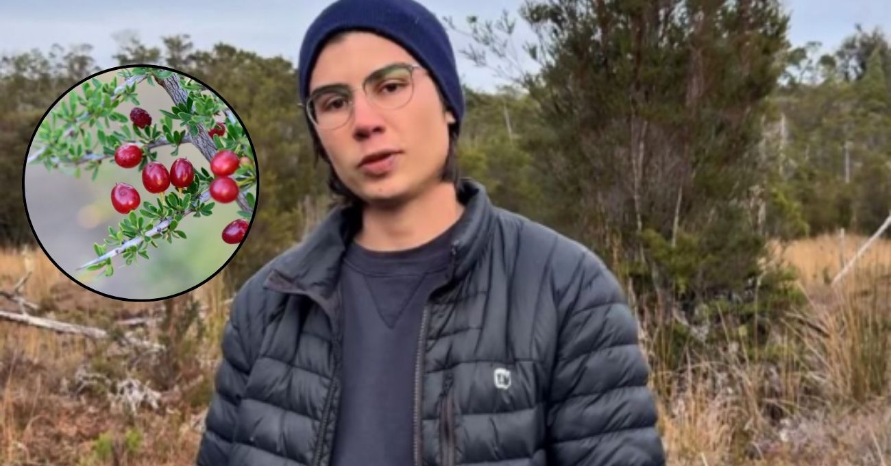 Las increíbles tácticas de supervivencia de Sebastián Gotschlich en el Parque Tepuhueico