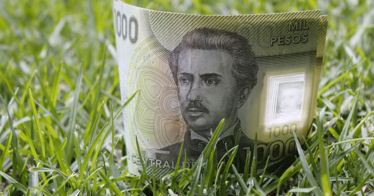 Bono Logro Escolar 2025: ¿Desde cuándo se podrá consultar?