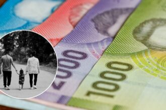 ¿Recibes el Subsidio Familiar Automático en julio? Revisa si te corresponde con tu RUT