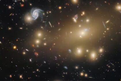 Así luce el cúmulo Abell 209, una joya cósmica a 2.800 millones de años luz