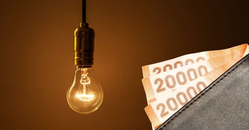 Subsidio Eléctrico 2025: ¿Cuándo se conocerán los resultados de la postulación?