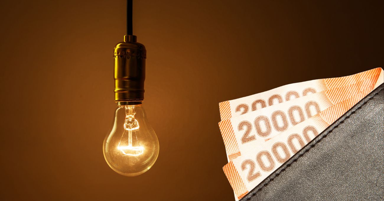 Subsidio Eléctrico 2025: ¿Cuándo se conocerán los resultados de la postulación?