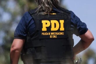 Hombre en Antuco queda en prisión por asesinar a su suegro