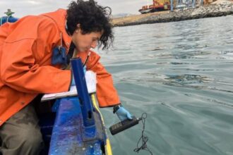 Incertidumbre por derrame de hidrocarburos en bahía de Valparaíso