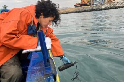 Incertidumbre por derrame de hidrocarburos en bahía de Valparaíso