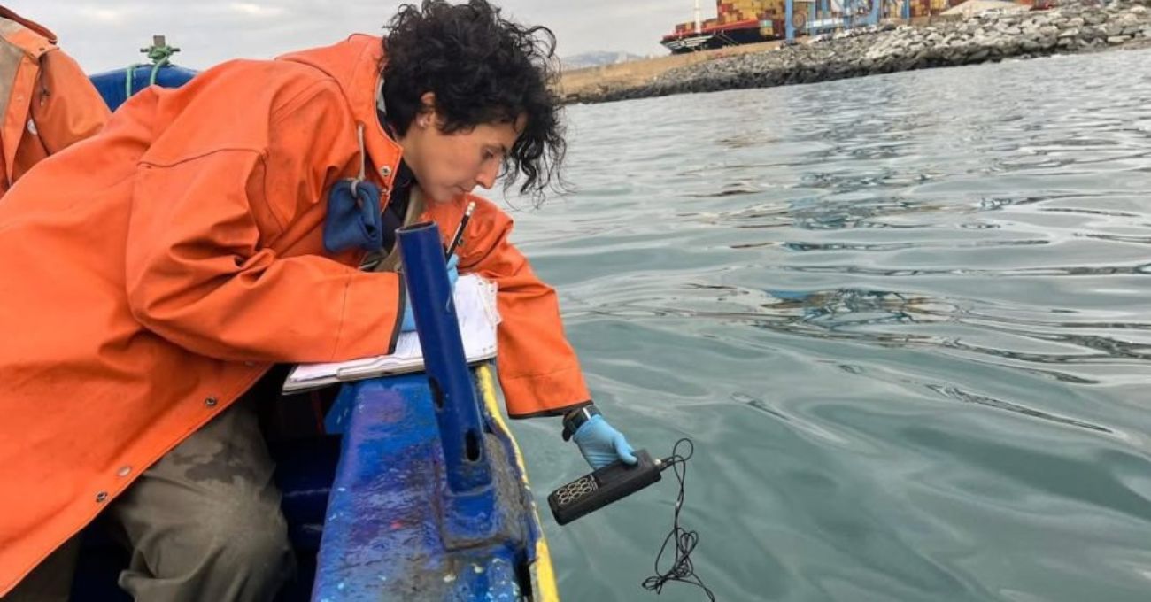 Incertidumbre por derrame de hidrocarburos en bahía de Valparaíso