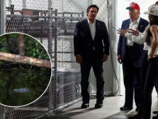 Alligator Alcatraz: la nueva prisión migratoria de Trump en los Everglades