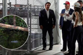 Alligator Alcatraz: la nueva prisión migratoria de Trump en los Everglades