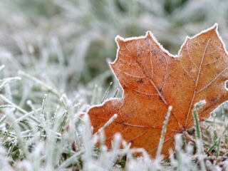 Advertencia por heladas de hasta -4°C en Santiago y otras cinco regiones del país