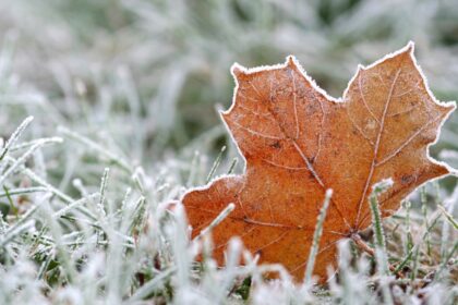 Advertencia por heladas de hasta -4°C en Santiago y otras cinco regiones del país