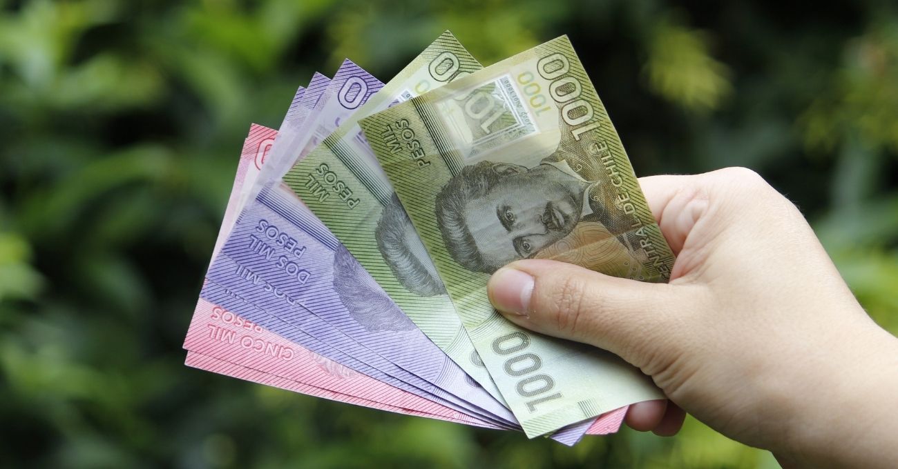 PGU: revisa con tu RUT si tienes pagos pendientes por cobrar