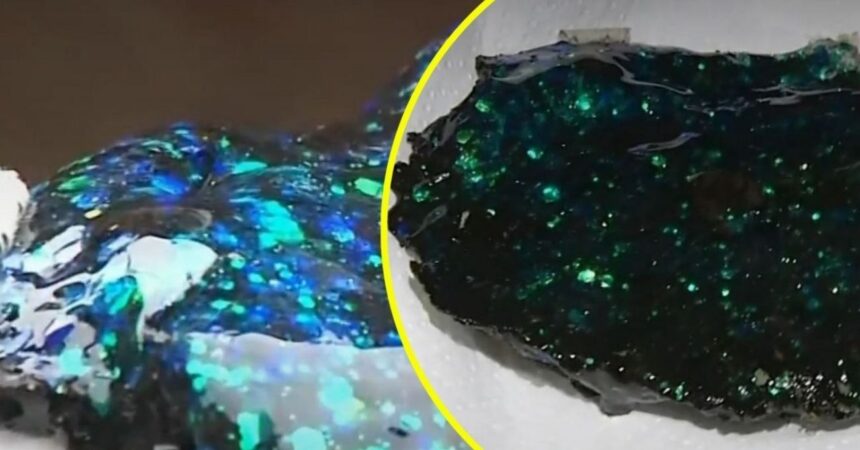 Mujer creyó que objeto del espacio cayó en su patio, pero era basura terrestre