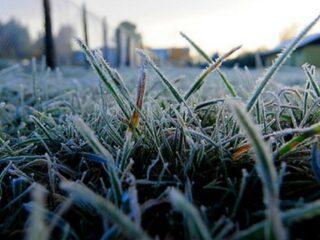 Frío extremo de hasta -15°C: Alerta por heladas intensas en tres regiones del sur de Chile
