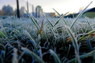 Frío extremo de hasta -15°C: Alerta por heladas intensas en tres regiones del sur de Chile