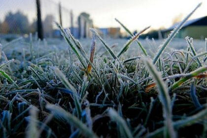 Frío extremo de hasta -15°C: Alerta por heladas intensas en tres regiones del sur de Chile