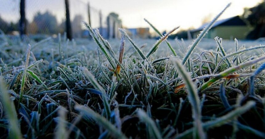 Frío extremo de hasta -15°C: Alerta por heladas intensas en tres regiones del sur de Chile