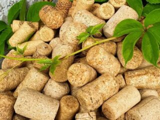 El truco del corcho en maceteros: cómo ayuda a mantener las plantas sanas
