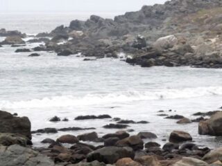 Gremio advierte dificultades para que desaladora de Coquimbo opere en 2028