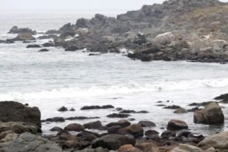 Gremio advierte dificultades para que desaladora de Coquimbo opere en 2028
