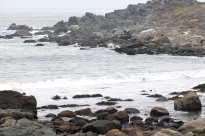 Gremio advierte dificultades para que desaladora de Coquimbo opere en 2028