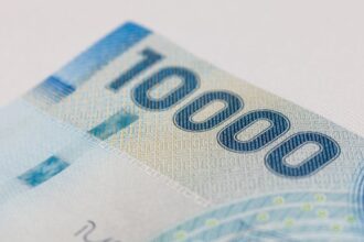 Apoyo del Estado para Personas Cesantes: Conoce las Alternativas Disponibles