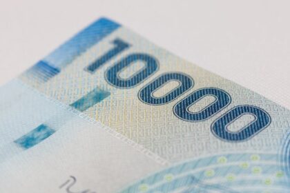 Apoyo del Estado para Personas Cesantes: Conoce las Alternativas Disponibles