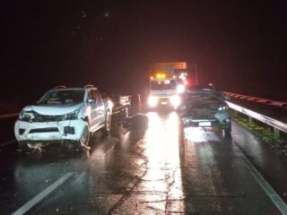 Accidente en Ruta 5 Sur deja 20 animales muertos y varios heridos