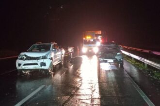 Accidente en Ruta 5 Sur deja 20 animales muertos y varios heridos