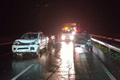 Accidente en Ruta 5 Sur deja 20 animales muertos y varios heridos