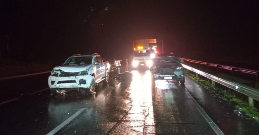 Accidente en Ruta 5 Sur deja 20 animales muertos y varios heridos