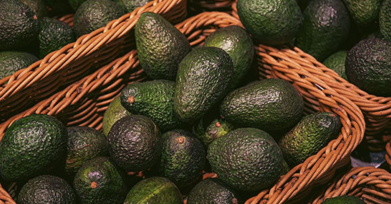 Alerta en Chile por palta hass peruana con niveles altos de cadmio