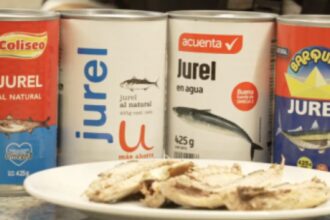 Marcas de jurel falso en Chile: revelan engaños en etiquetas