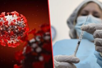 Variante "Frankenstein" del coronavirus: lo que se sabe tras su llegada a Argentina